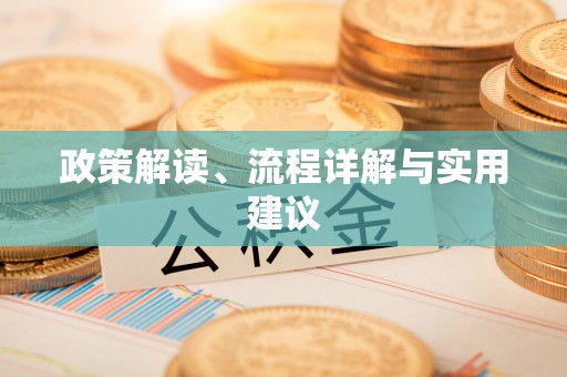 宿松政策解读、流程详解与实用建议