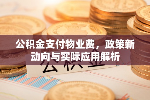 宿松公积金支付物业费，政策新动向与实际应用解析