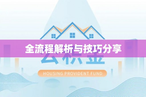 宿松全流程解析与技巧分享