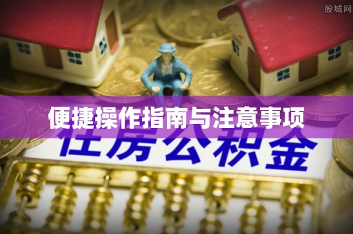 宿松便捷操作指南与注意事项