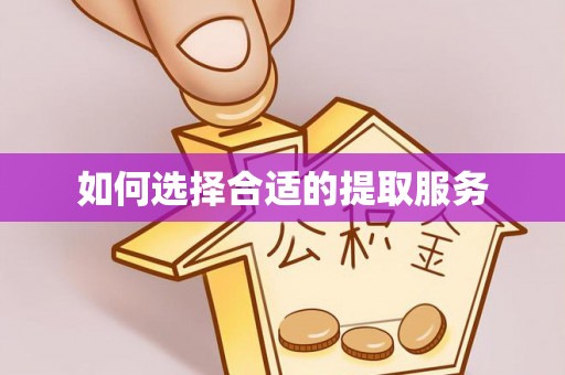 宿松如何选择合适的提取服务